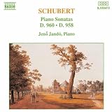 Piano Sonatas D958 & 960