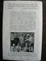 Torches Extinguished: Memories of a Communal Bruderhof Childhood in Paraguay, Europe and the Usa