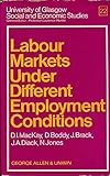 Labour markets under different employment conditions
