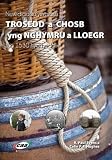 Newidiadau ym maes trosedd a chosb yng Nghymru a Lloegr : tua 1530 hyd heddiw