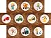 SET (10) Bob The Builder & Friends Drawer Pulls Knobs