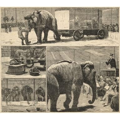 Myers' American Circus Auctioned (Print On Demand)