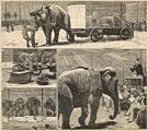 Myers' American Circus Auctioned (Print On Demand)