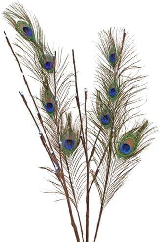 Lighted Branches, 27 inch, Peacock Feathers, 24 LEDs, Battery, Timer