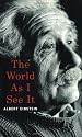 The World As I See It