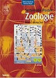 Systematik-Poster: Zoologie. In Anlehnung an das 'Lehrbuch der Speziellen Zoologie' (Sav Biologie) - Wilfried Westheide
