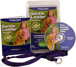 Gentle Leader Head Collar, Size: Medium, Color: Black