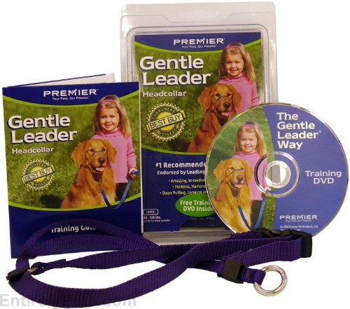 Premier Gentle Leader Head Dog Collar, Red, Small
