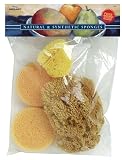 Pro Art Combo Sponge Set, 1 Silk Sponge, 2 Synthetic Sponge and 1 Grass Sponge
