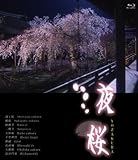 夜桜(Blu-ray Disc)