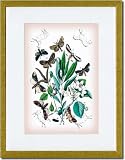 ClassicPix.com