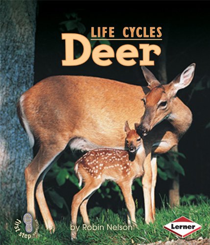 Deer (First Step Nonfiction Animal Life Cycles)