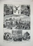 1884 FORESTRY EXHIBITION EDINBURGH BALMORAL CHALET TREE