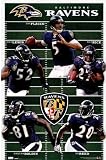 (22x34) Baltimore Ravens Team Field Sports Poster Print