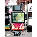 Bjork - Minuscule Documentary [Import anglais]