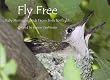 Fly Free