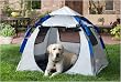 Instent Dog Haus by ABO Gear