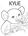KYLIE'S CONCERT-Goal Setting and Sharing Children's Book (Kindle Text-Only Version)