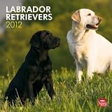 Labrador Retrievers 2012 Square 12X12 Wall Calendar (Multilingual Edition)