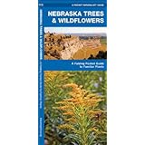 nebraska trees  wildflowers a folding pocket guide to familiar plants pocket naturalist guide series