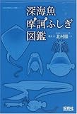 イメージ: 深海魚摩訶ふしぎ図鑑 (「生きもの摩訶ふしぎ図鑑」シリーズ)