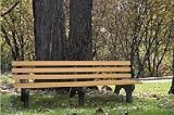 Engineered Plastic Systems GB8 8ft Garden Bench in Ceder