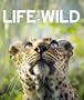 Life In The Wild