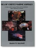 Sea of Cortez Marine Animals: A Guide to the Common Fishes and Invertebrates Baja California to Panama