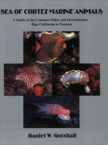 Sea of Cortez Marine Animals A Guide to the Common Fishes and Invertebrates Baja California to Panama093019375X