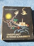 Umgepflanzt in fremde Sommerbeete