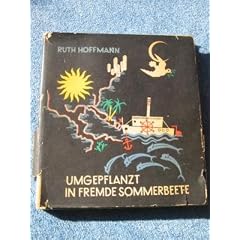 Umgepflanzt in fremde Sommerbeete