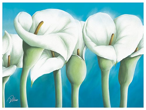 Eurographics ASL1213 Alicia Sloan, Turquoise Callas II 18 x 24 cm, Hochwertiger Kunstdruck Preisvergleich