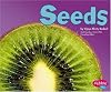 Seeds (Plant Parts)