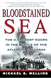 Bloodstained Sea