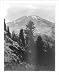 Historic Print (M): Mt. Shasta, Calif.