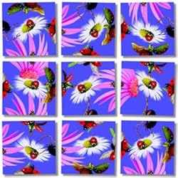 Ladybugs Scramble Squares