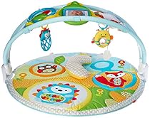 Skip Hop Baby & Toddler Explore & More Amazon Arch Activity Gym, Multi, Explore & More
