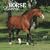 Horse Lovers 2010 Wall