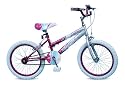 Concept Girls 18" Single Speed Mountain Bike