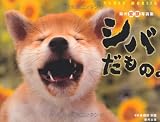 柴犬変顔写真集　シバだもの。