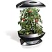 AeroGarden Pro 200 with Master Gardener 1-Season Kit, Gourmet Herb Seed Kit