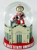 Ohio State Buckeyes The Shoe Stadium Limited Edition Water Globe