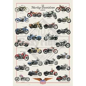 Educational Poster - Harley Davidson Motorcycles - Printed in Italy