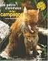 Les petits d'animaux de la campagne