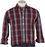 Fossil Button Down - Ben (Color: Silver)
