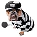 Prisoner Pet Costume