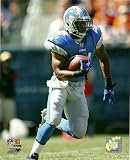 Jahvid Best Detroit Lions Action 8x10 Photo