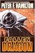 Fallen Dragon (Kindle Edition)