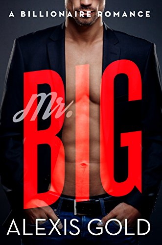 Mr. Big: A Billionaire Romance