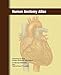 Human Anatomy Atlas